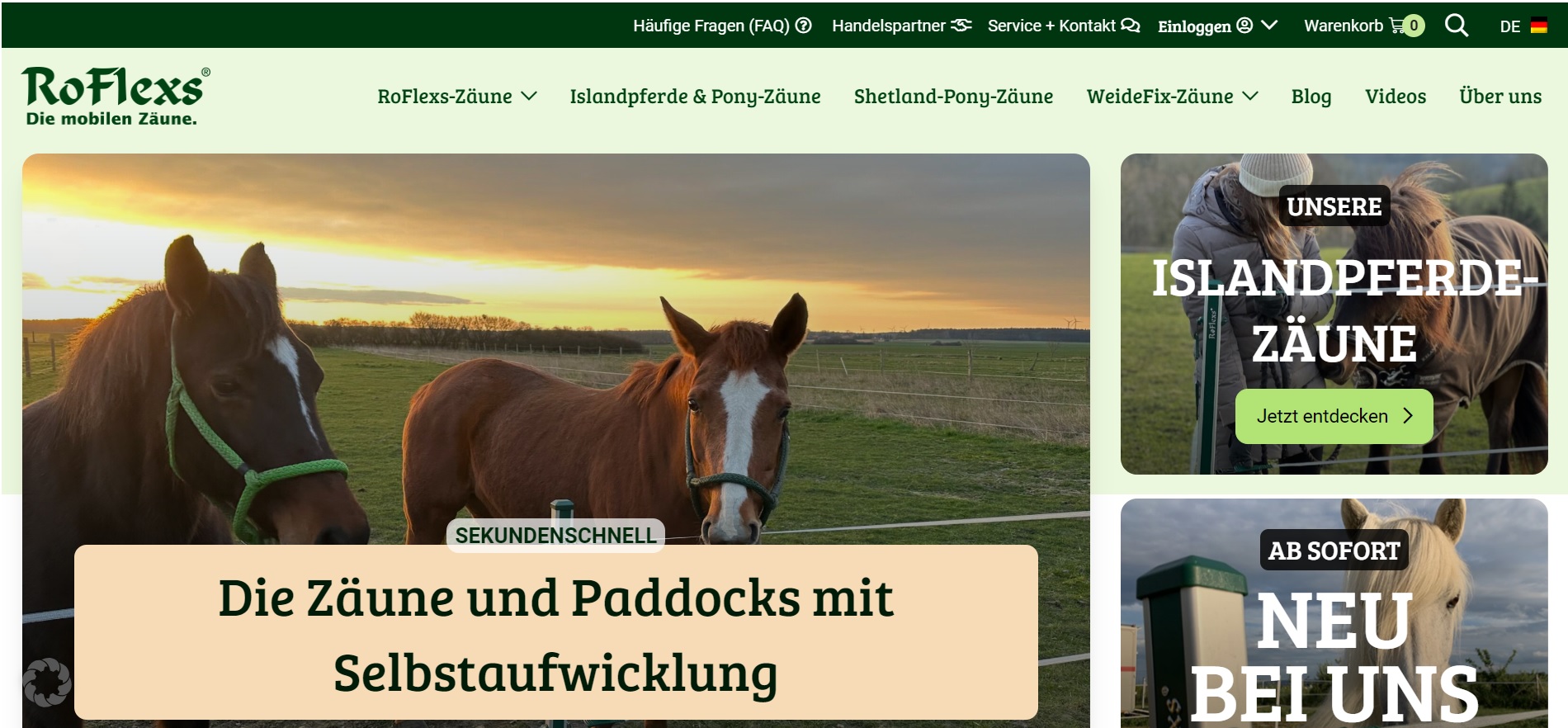 RoFlexs-Auftritt_neu_1.jpg