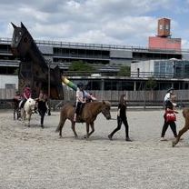 IMG_4785.jpg
