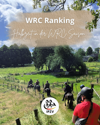 WRC Ranking (1).png