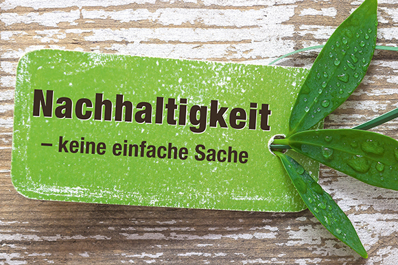Nachhaltigkeit_c_AdobeStock-DIP.jpg