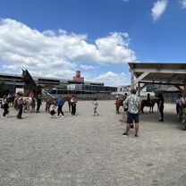 IMG_2427.jpg