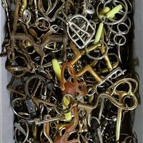 WhatsApp Image 2025-10-12 at 20.44.55 (1).jpeg