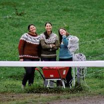 Möllenbronner Hestadagar 4.jpg