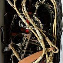 WhatsApp Image 2025-10-12 at 20.44.54.jpeg