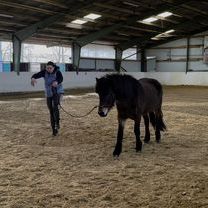 WhatsApp Image 2026-03-09 at 13.16.19 (2).jpeg