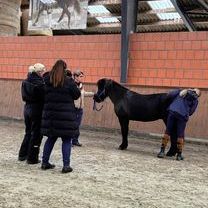 IMG_0285 Bild ZSV 4.2.jpg