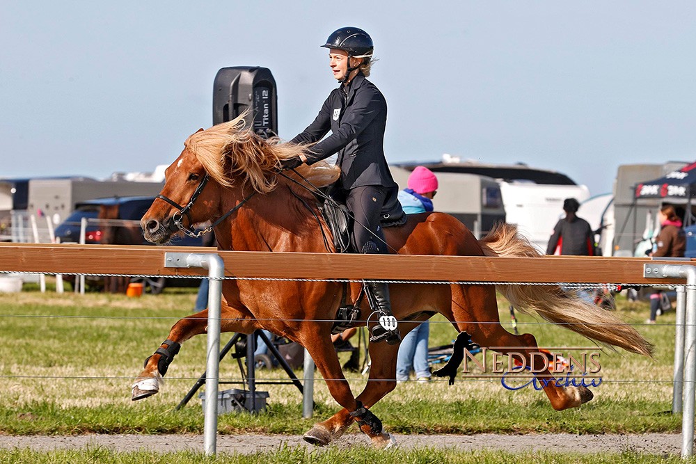 DJIM2026_Neddens_Tabitha Hoffeld.jpg