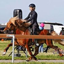 DJIM2026_Neddens_Tabitha Hoffeld.jpg