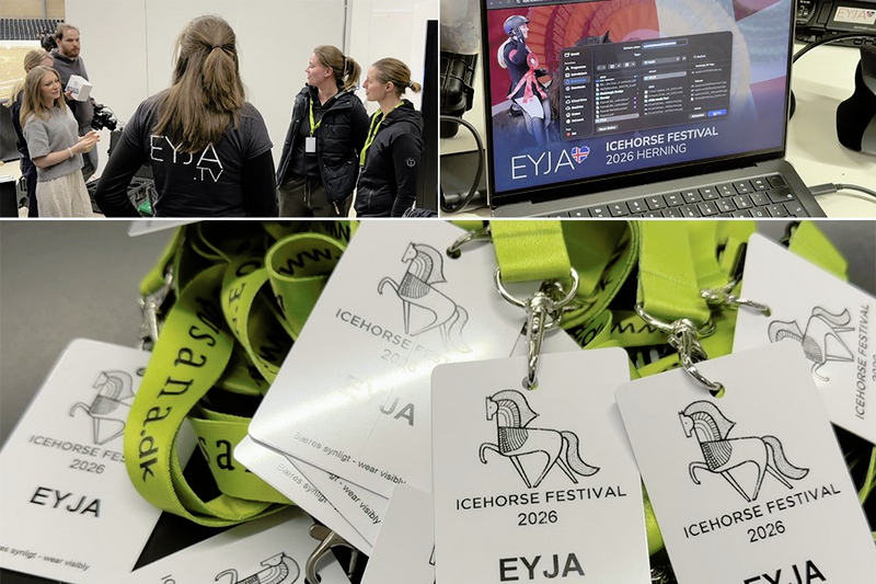 IceHorse Festival.png