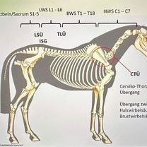 Screenshot 2026-03-09 132051.jpg