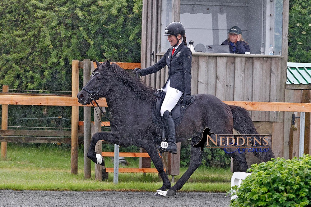 DJIM26 Neddens T2.jpg