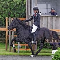 DJIM26 Neddens T2.jpg