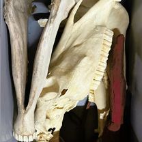 WhatsApp Image 2025-10-12 at 20.44.55.jpeg