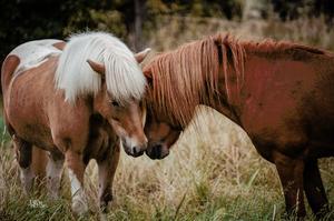 38. Jara Gabert (2).jpeg