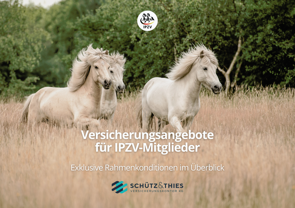 Schütz & Thies (A4 (Querformat)) (2).png