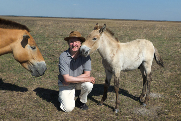 Przewalski_02_c_Stefan_Schomann.jpg