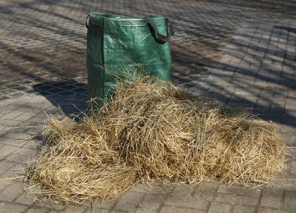 Grundfutter_IMG_6921.jpg