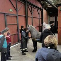 IMG_0279 Bild ZSV 4.3.jpg