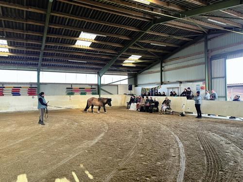 WhatsApp Image 2026-03-09 at 13.16.19 (5).jpeg