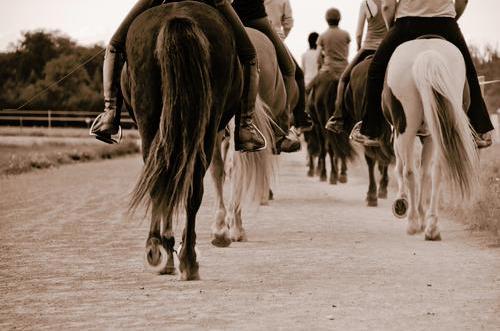 Reitstunde_©Ingairis - stock.adobe.com.jpeg