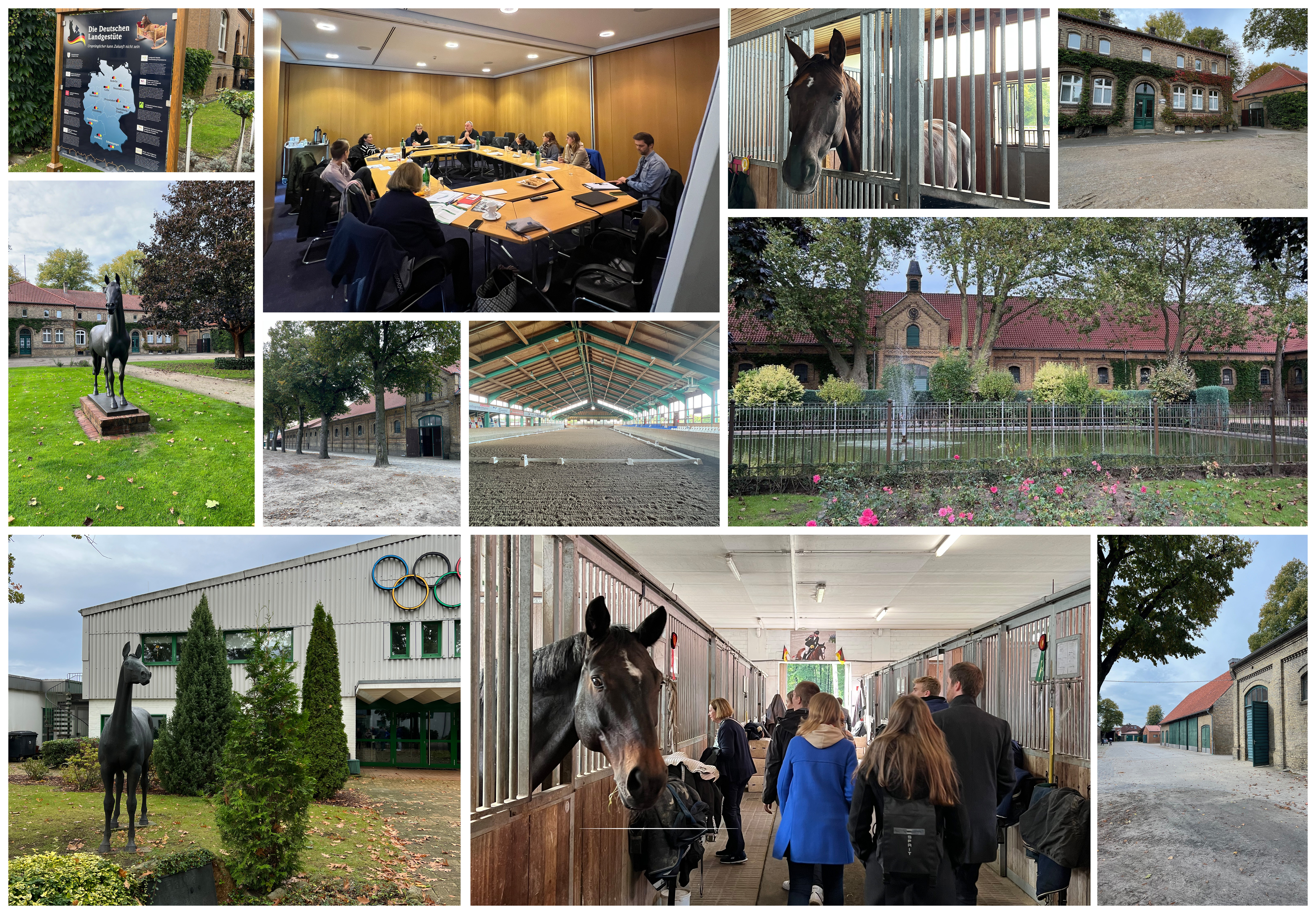 231024_ipzv-fortbildung-warendorf-collage.jpg
