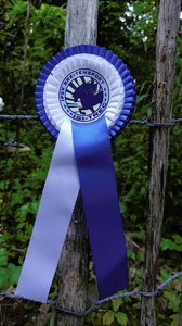 Isi-Trec-2026-06.jpg