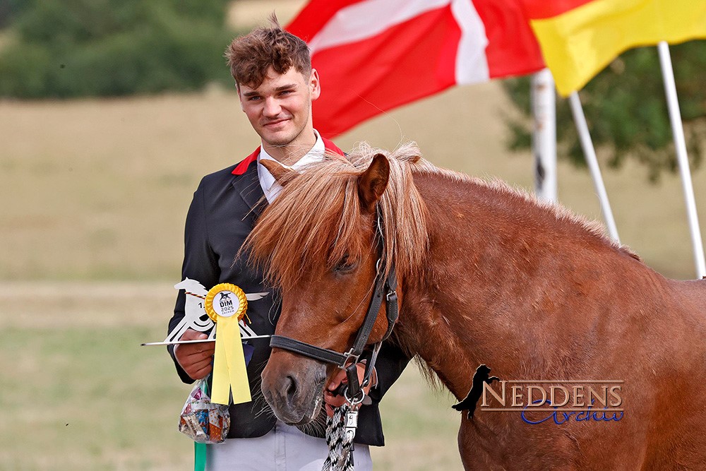 250706_Jugend Cup_ Daniel Rechten.jpg