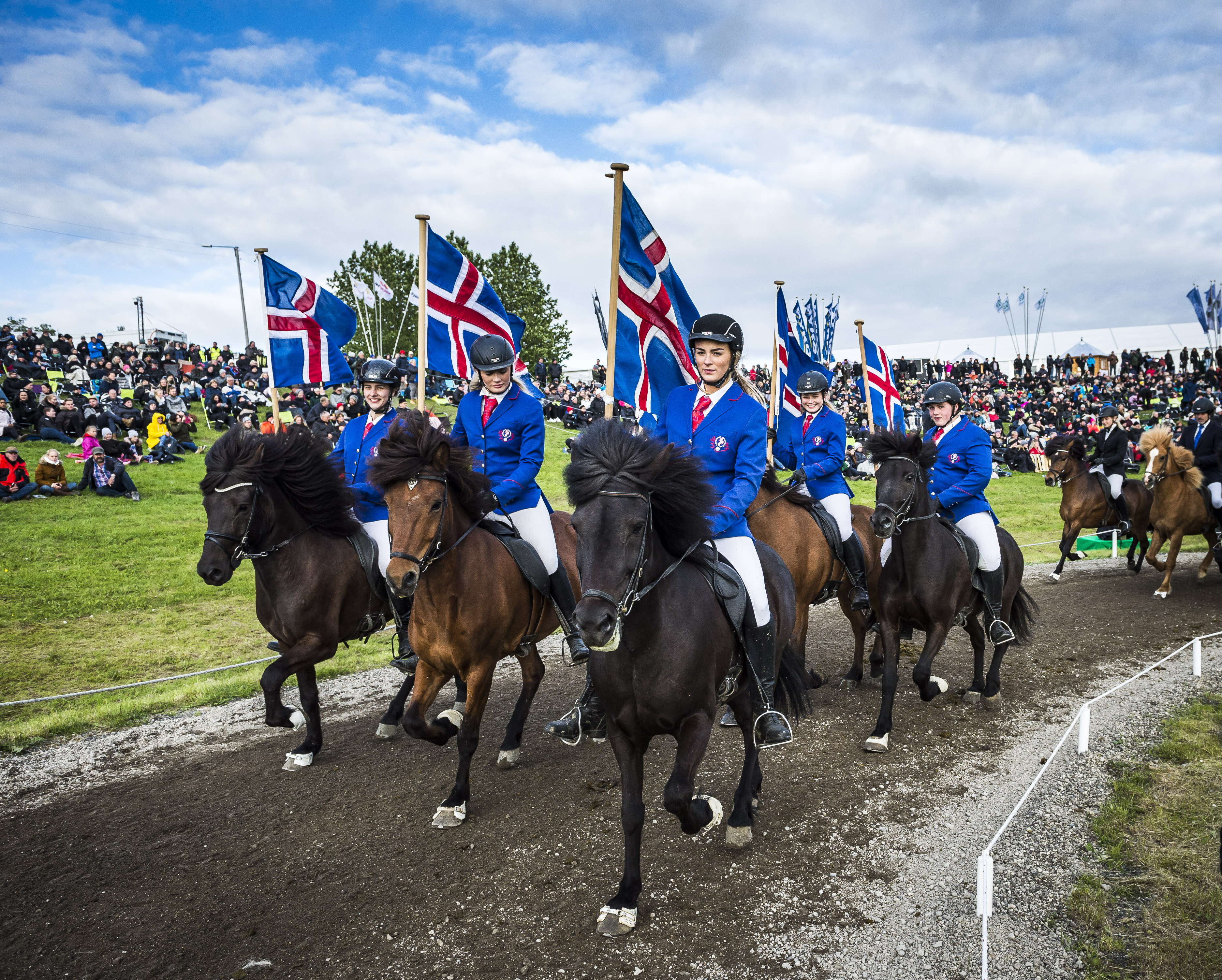 Landsmot_Horses of Iceland.jpg
