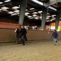 IMG_0304 BIld ZSV 4.4.jpg