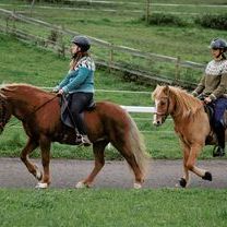 Möllenbronner Hestadagar 2.jpg