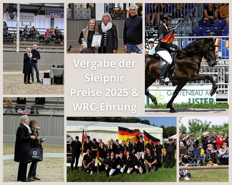 Collage Sleipnir Preise.png