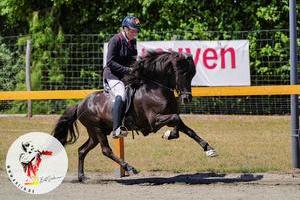 250702_Z1.V1_Jolly Schrenk_ Aris von den Ruhrhöhen.jpg