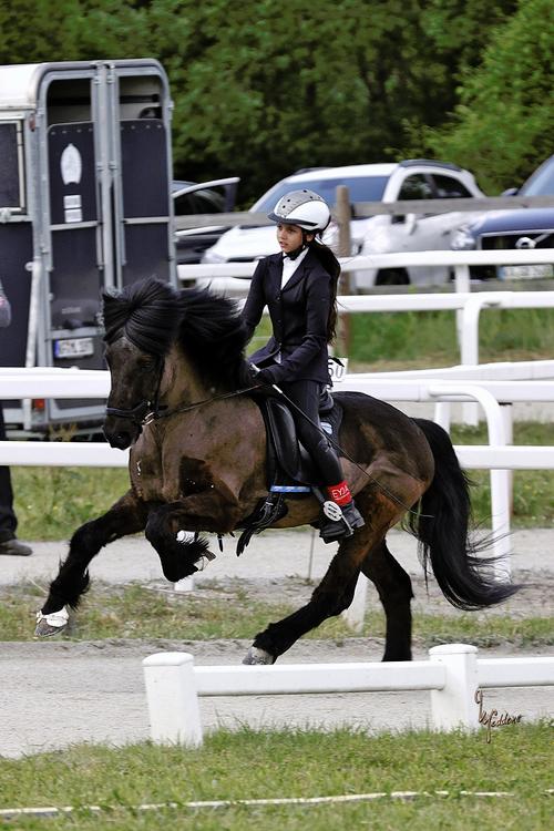 Louisa Marie Zingsheim.jpg 1