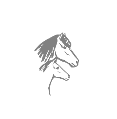 WorldFengur