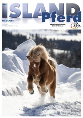 dipcover-204.jpeg