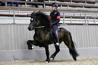Dominique Dorn 1