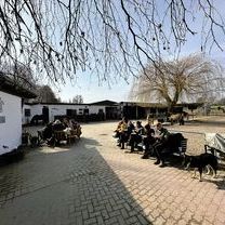 WhatsApp Image 2026-03-09 at 13.16.19.jpeg