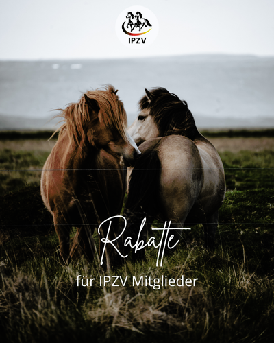 Rabatte (2).png