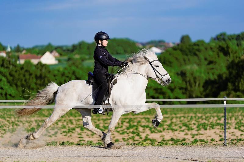 Helene Friedrich_2.jpg