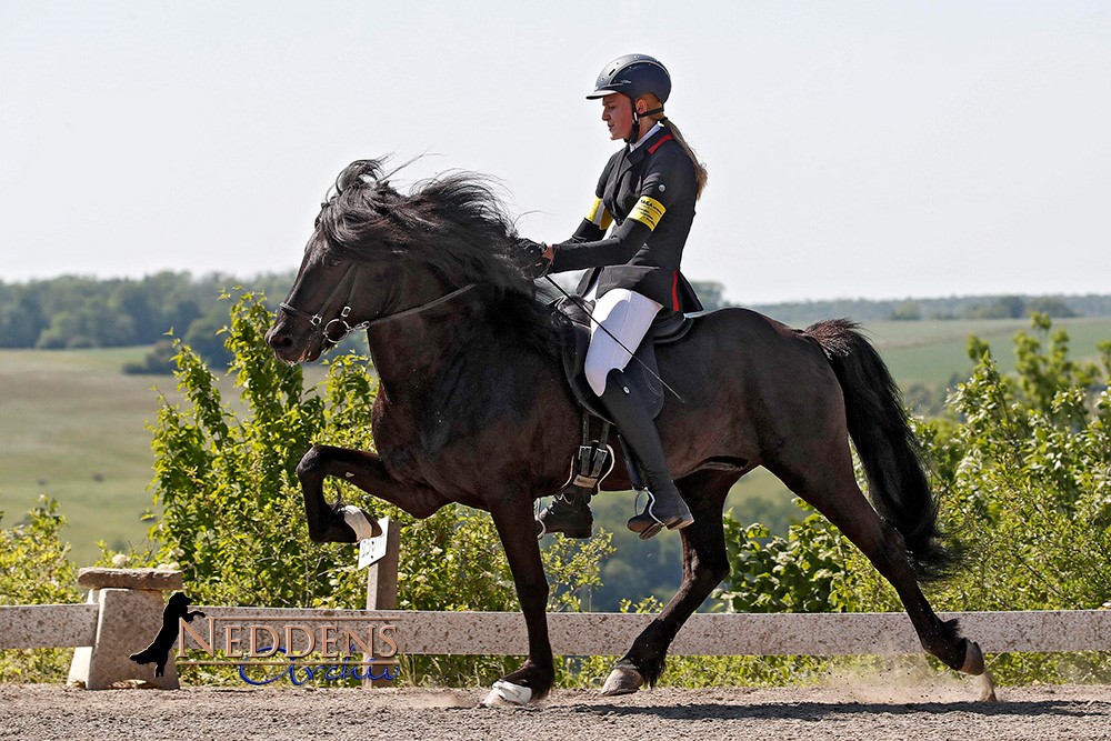 Johanna Reisinger - J4T3.jpg