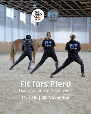 Kopie von Kopie von Fit fürs Pferd.png