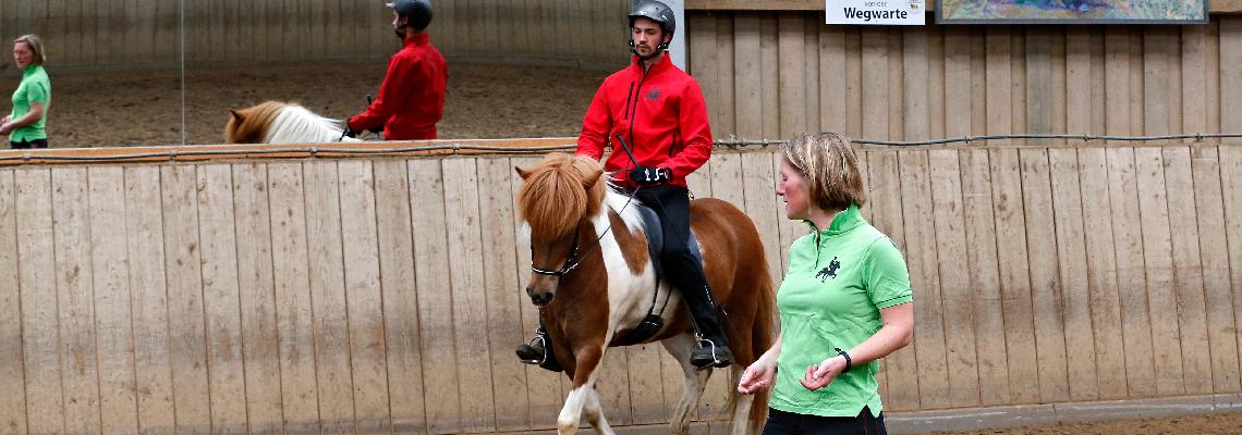 Homepage [www.ipzv.de]