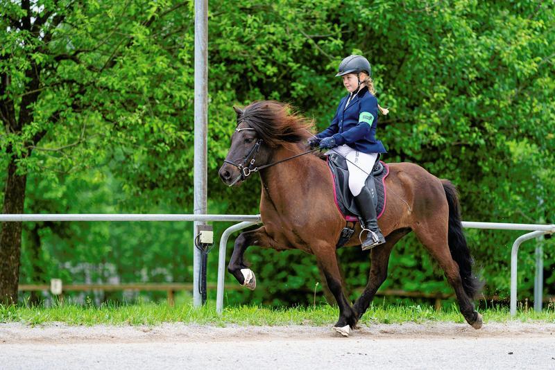 Lilli Kollmeyer (2) - Krijn Buitelaar.jpg