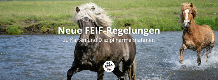 Neue FEIF Regelungen 2026.png 2