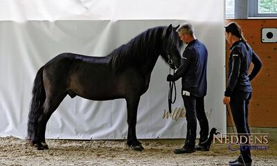 2021_06_24_Þróttur von Horsemate.jpg