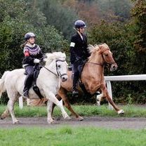 Möllenbronner Hestadagar 1.jpg