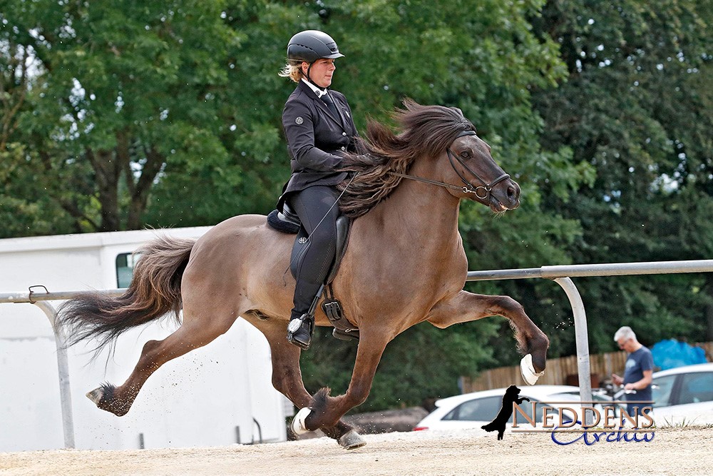 F1_Milena Frische_Herion von Hof Osterkamp.jpg