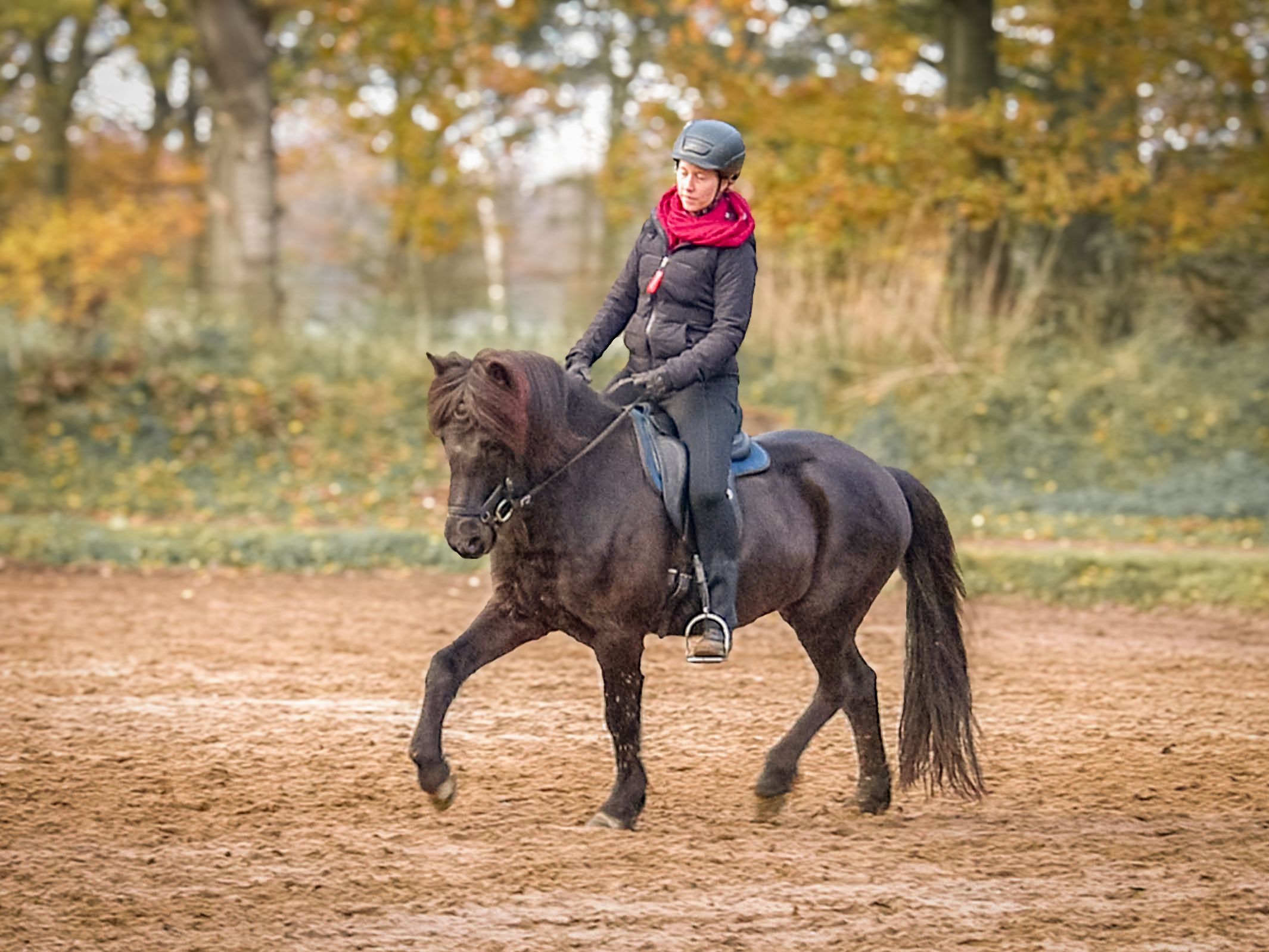 Hestaskólar mit Mata Pohl (c) Juliane Buls 3.jpg