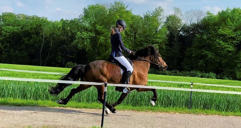 Franziska Brinkmann_2.jpeg