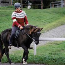 Möllenbronner Hestadagar 3.jpg